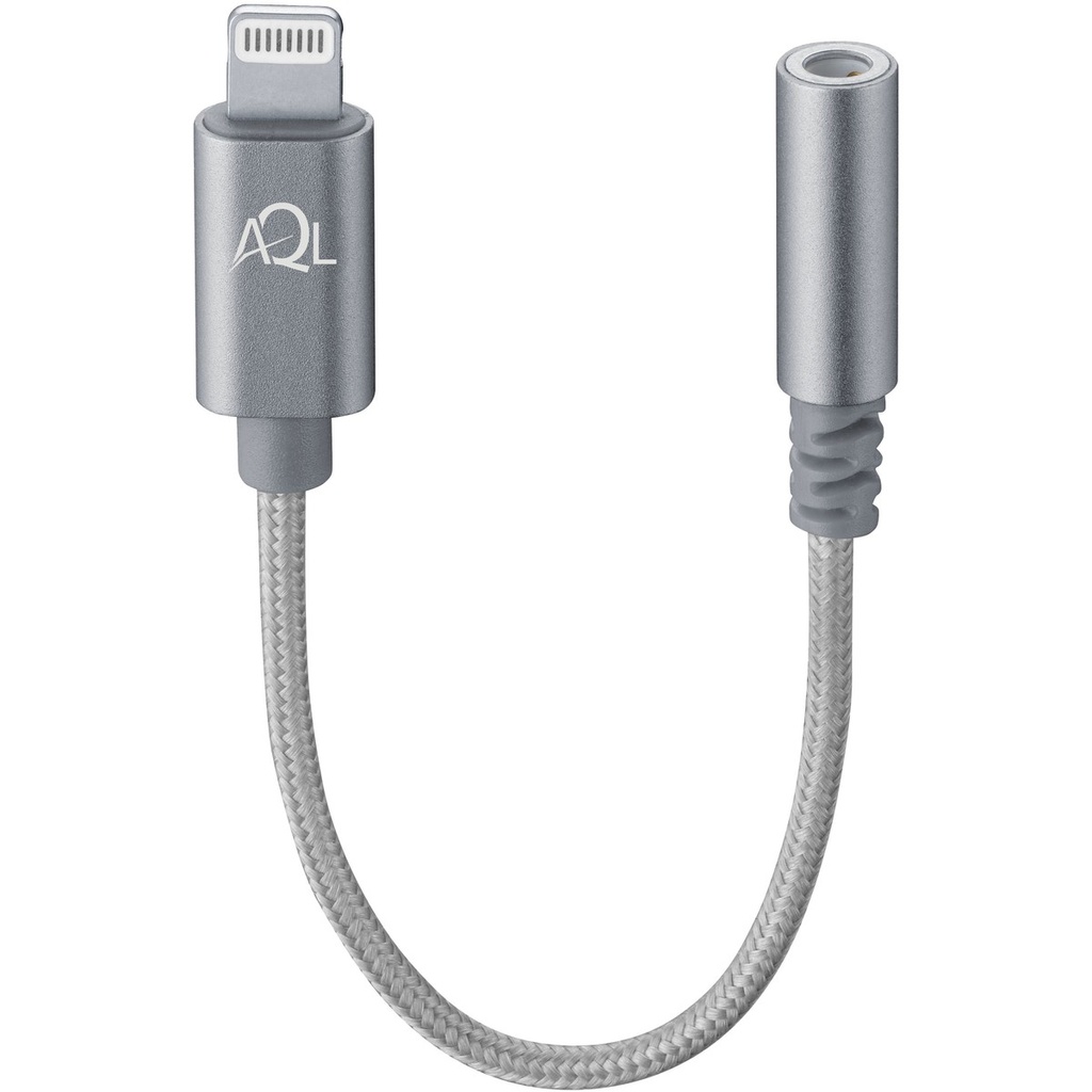 Aux Adapter Audio