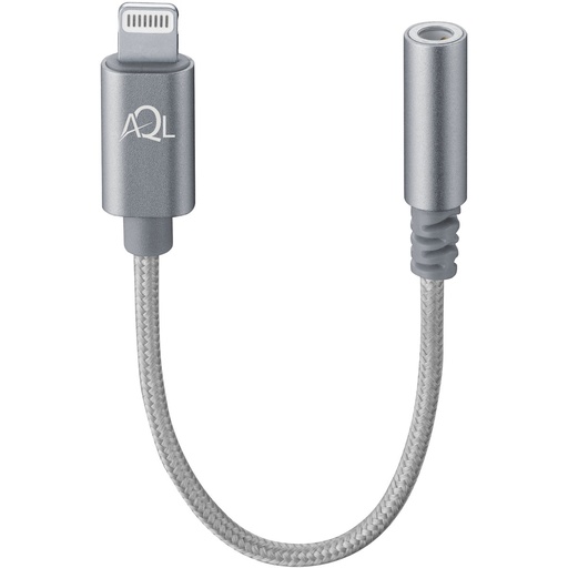 Aux Adapter Audio